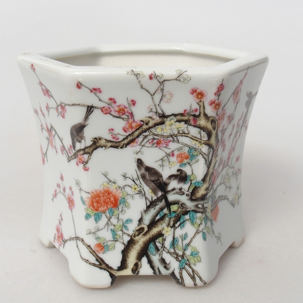 Bonsaischaal van keramiek 10,5 x 9,5 x 9 cm, kleur wit