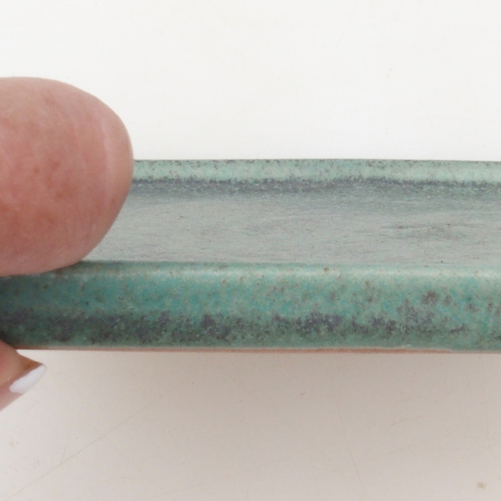 Bonsaischaal vierkant L - 14 x 14 x 1 cm - groen