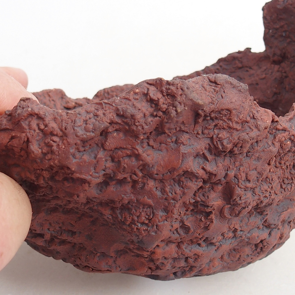 Keramisch Schelp 13 x 11,5 x 10,5 cm , kleur bruin