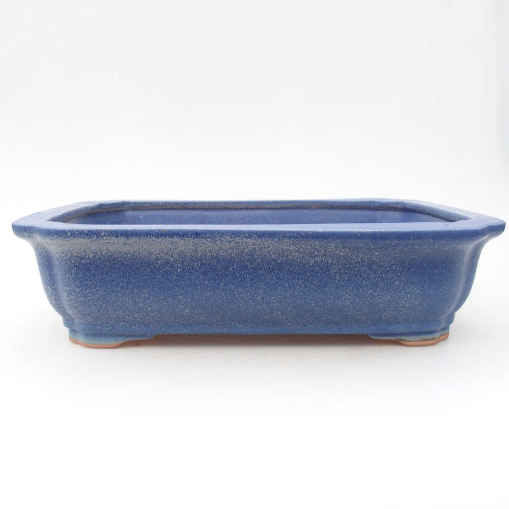 Bonsaischaal van keramiek 28 x 22 x 7 cm, kleur blauw