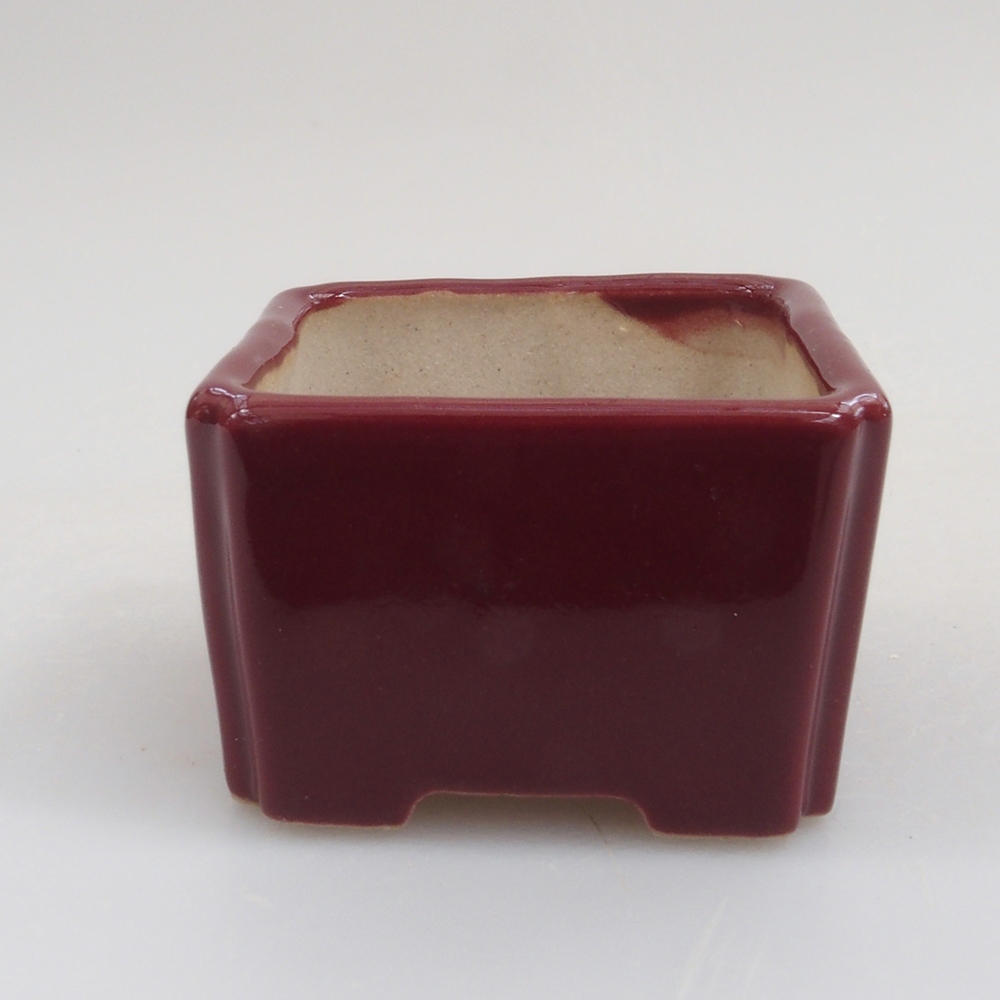 Mini bonsaischaal 4,5 x 4,5 x 3 cm, bordeauxrood