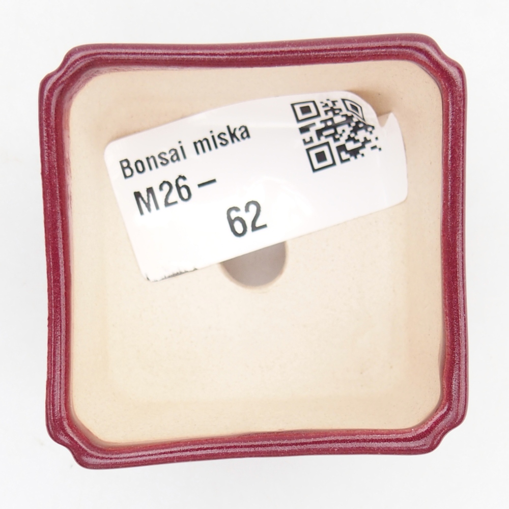 Mini bonsaischaal 5 x 5 x 3 cm, bordeauxrood