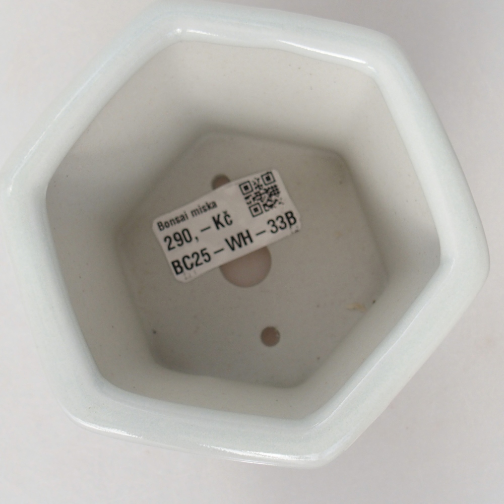 Bonsaischaal van keramiek 10,5 x 9,5 x 9 cm, kleur wit