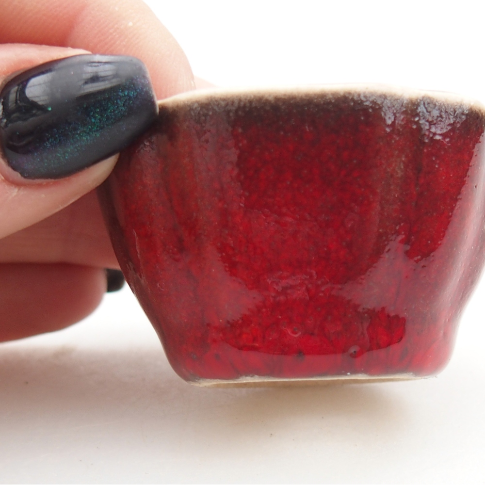 Mini bonsaischaal 4,5 x 4,5 x 2,5 cm, kleur rood