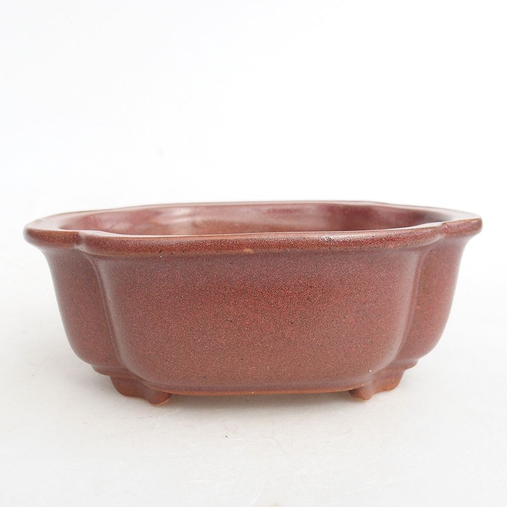Bonsaischaal van keramiek 13 x 10,5 x 5,5 cm, bordeauxrood