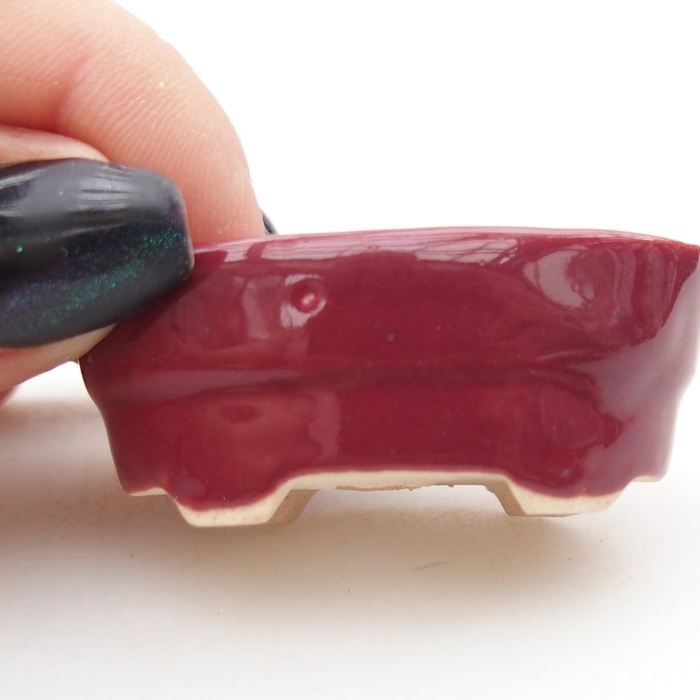 Mini bonsaischaal 4 x 2,5 x 2 cm, bordeauxrood