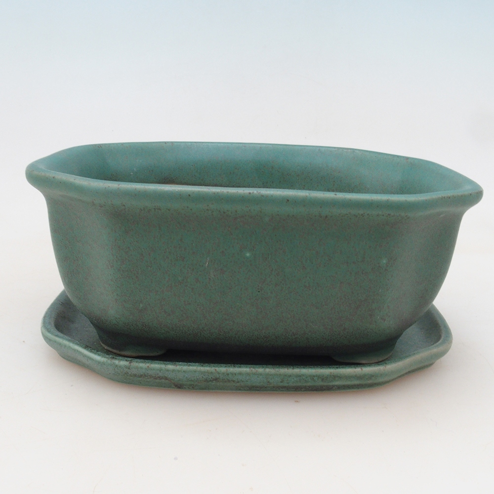 Bonsai kom + schotel H31 - groen