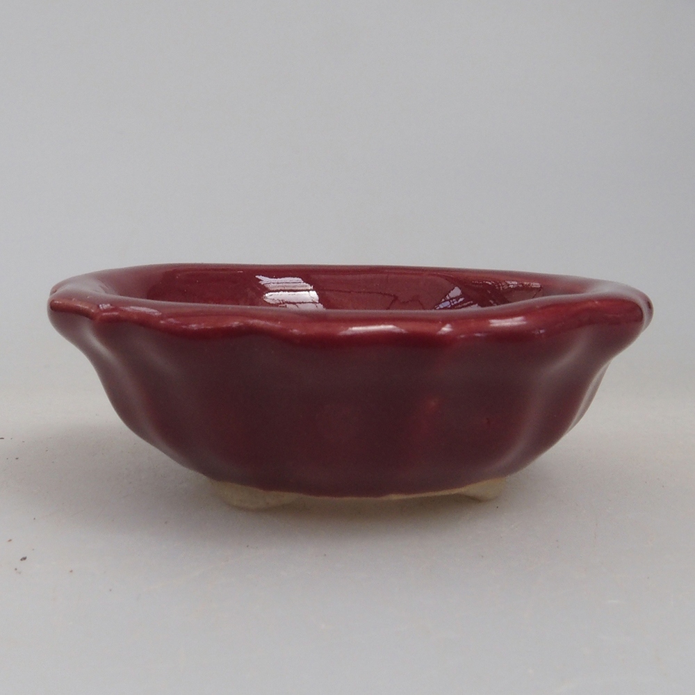 Mini bonsaischaal 5 x 5 x 1,5 cm, kleur bordeauxrood