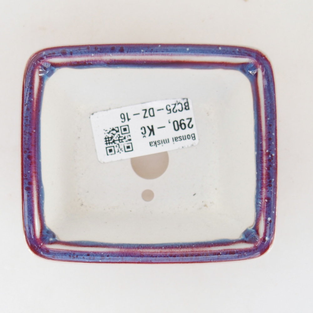 Mini bonsaischaal 8,5 x 7,5 x 4 cm, kleur paars