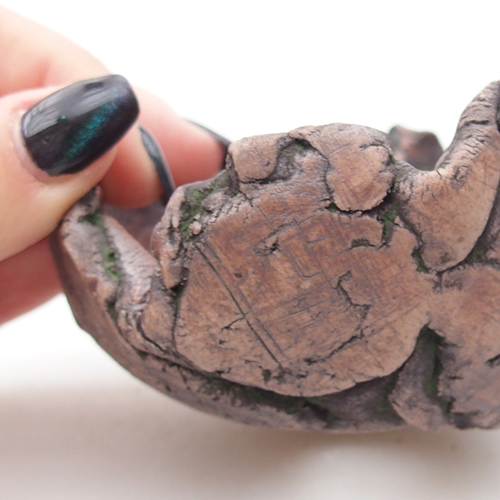 Schelp van keramiek 8,5 x 6 x 6,5 cm , kleur groen