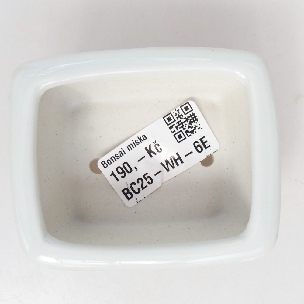 Mini bonsaischaal 8 x 6,5 x 3,5 cm, wit