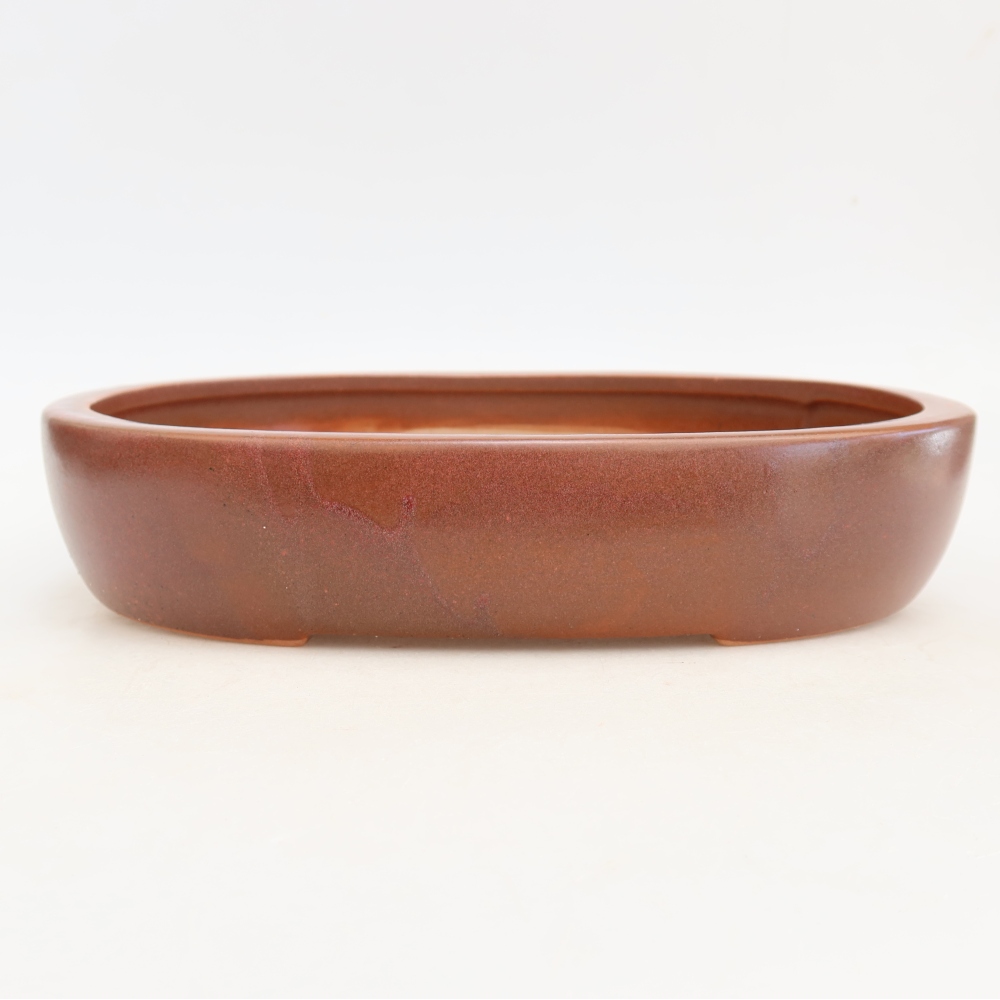 Keramische bonsaipot 27 x 21 x 5,5 cm, kleur bordeauxrood