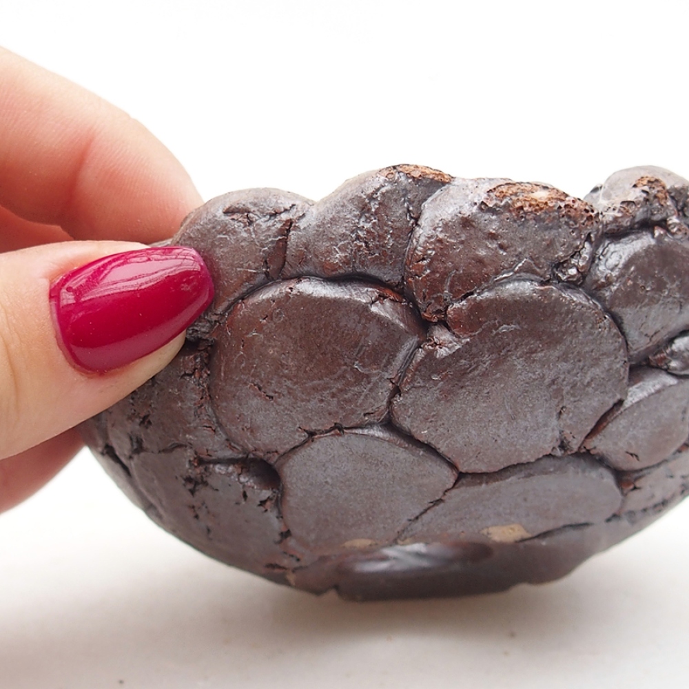 Keramisch Schelp 9 x 9 x 4 cm , kleur bruin