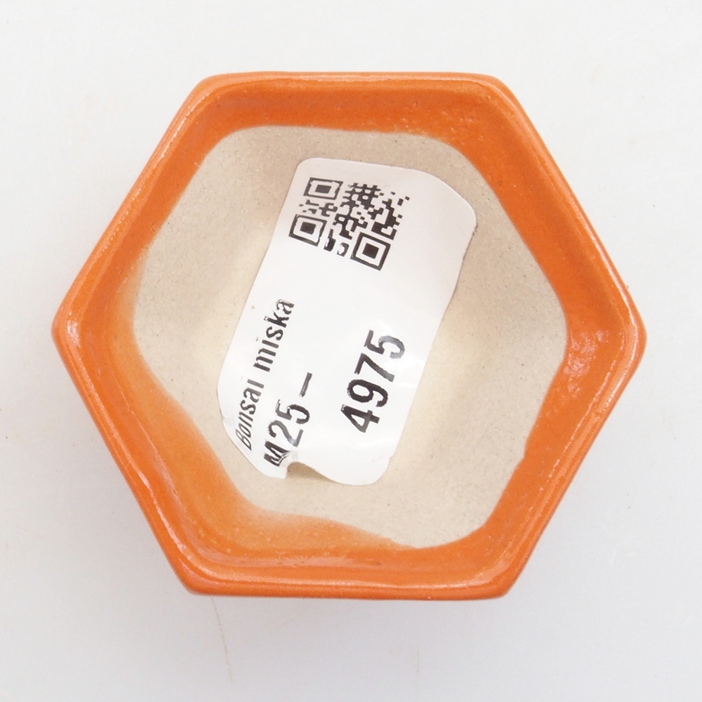 Mini bonsaischaal 5 x 4,5 x 2,5 cm, oranje