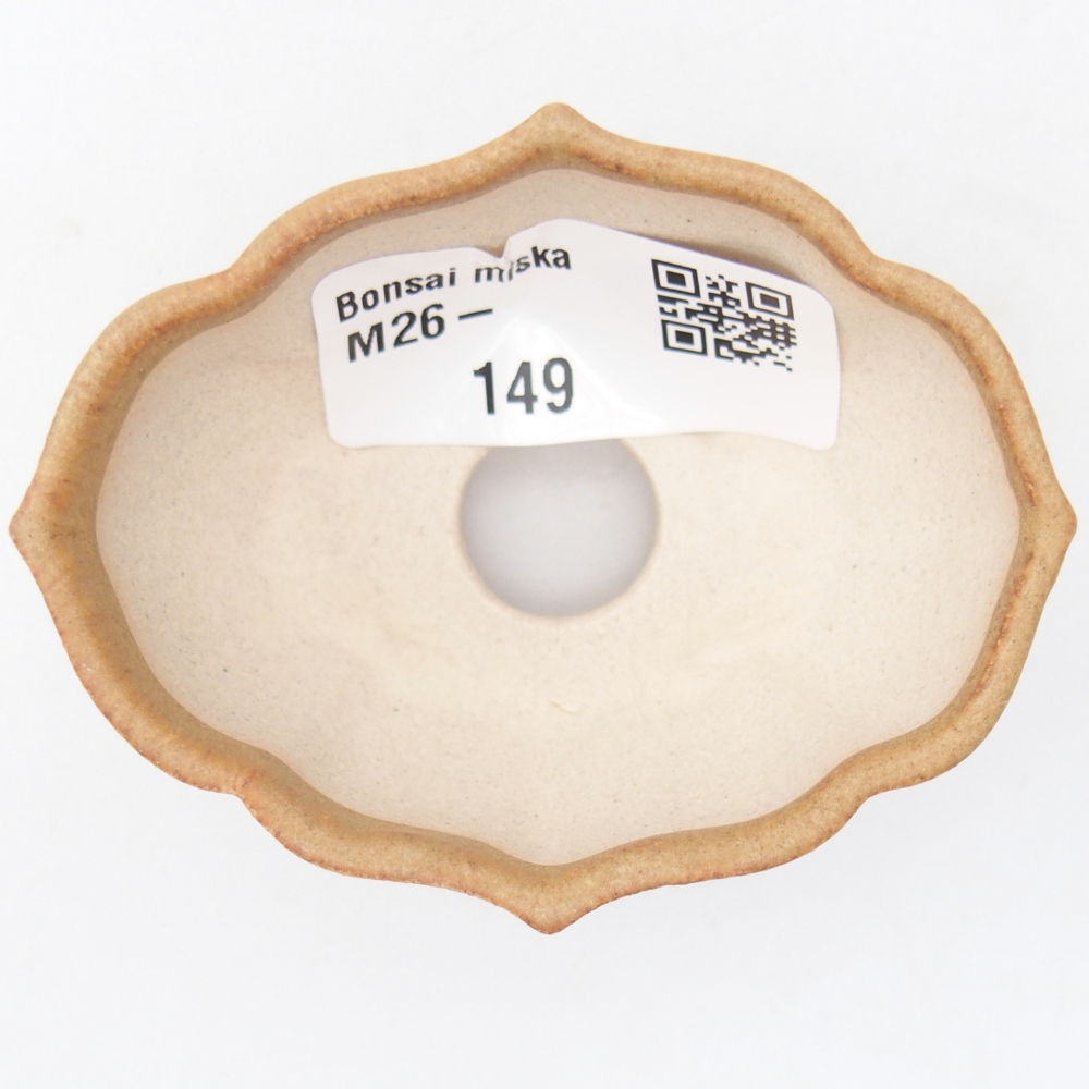Mini bonsaischaal 7 x 5 x 3 cm, bruin