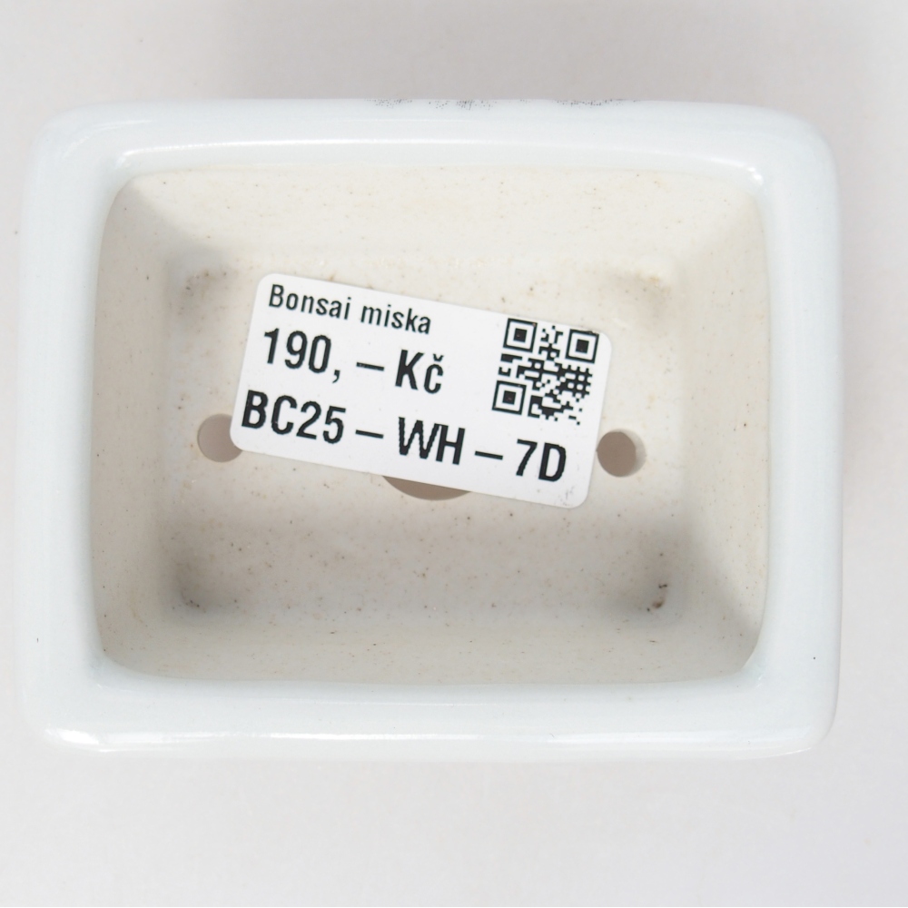 Mini bonsaischaal 8 x 6 x 3 cm, wit