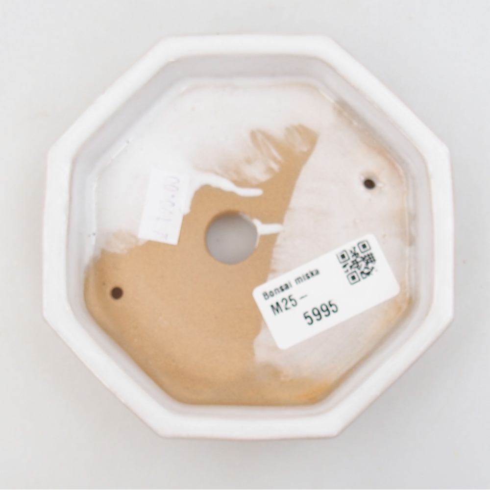 Bonsaischaal van keramiek 22 x 17 x 5 cm, groen