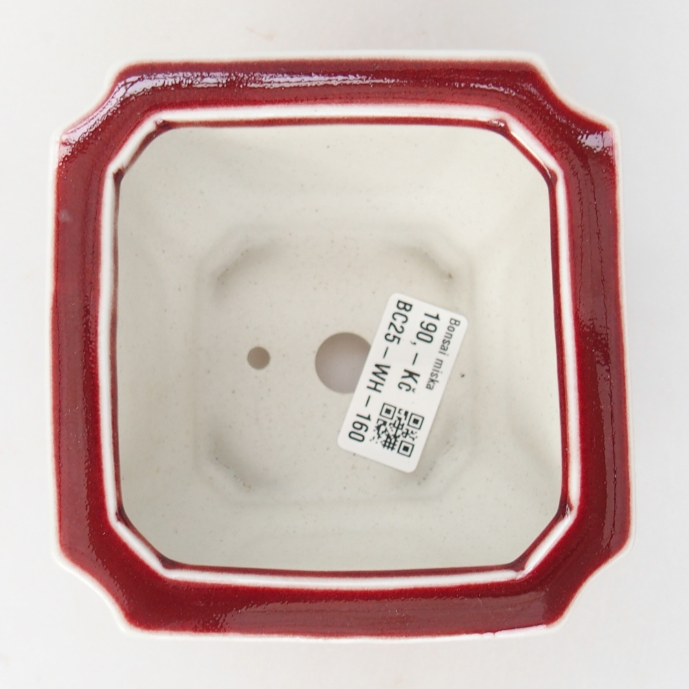 Bonsaischaal van keramiek 11 x 11 x 7 cm, kleur rood