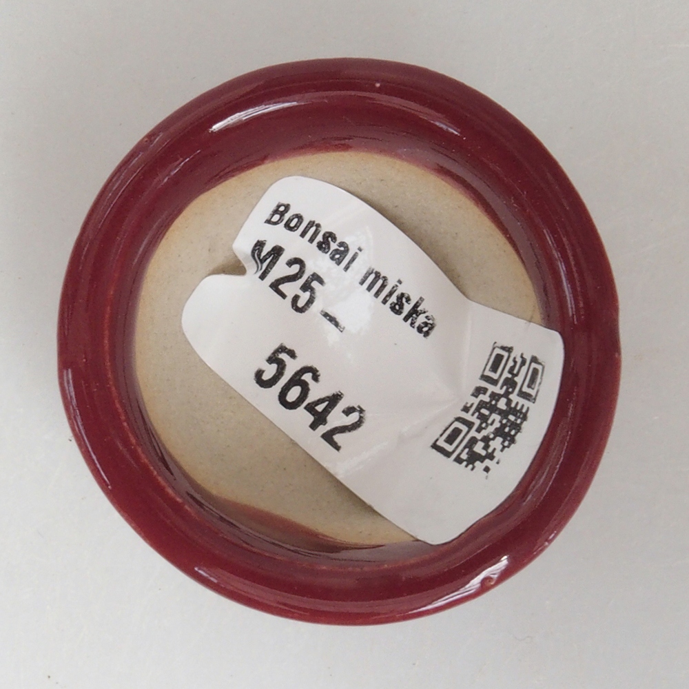 Mini bonsaischaal 4 x 4 x 2 cm, bordeauxrood