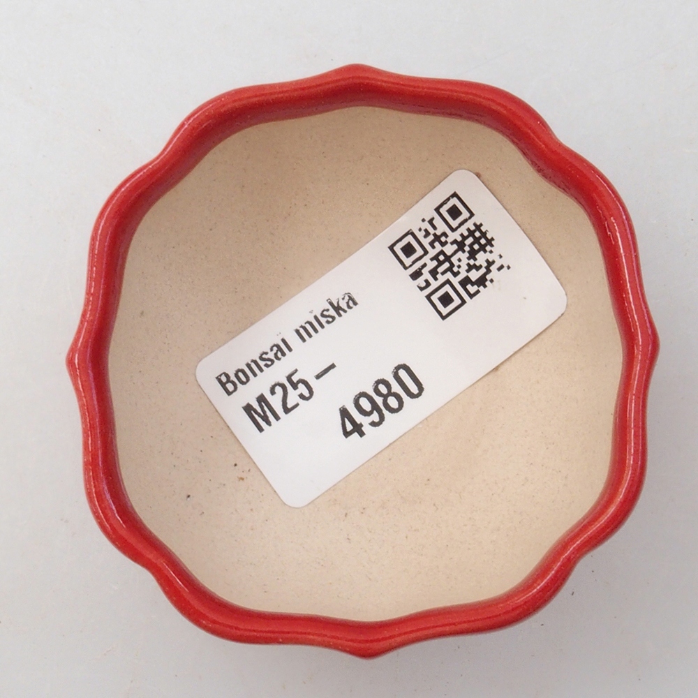 Mini bonsaischaal 6 x 5,5 x 2,5 cm, kleur rood
