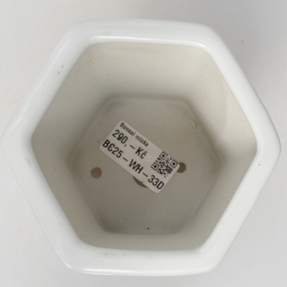 Bonsaischaal van keramiek 10,5 x 9,5 x 9 cm, kleur wit