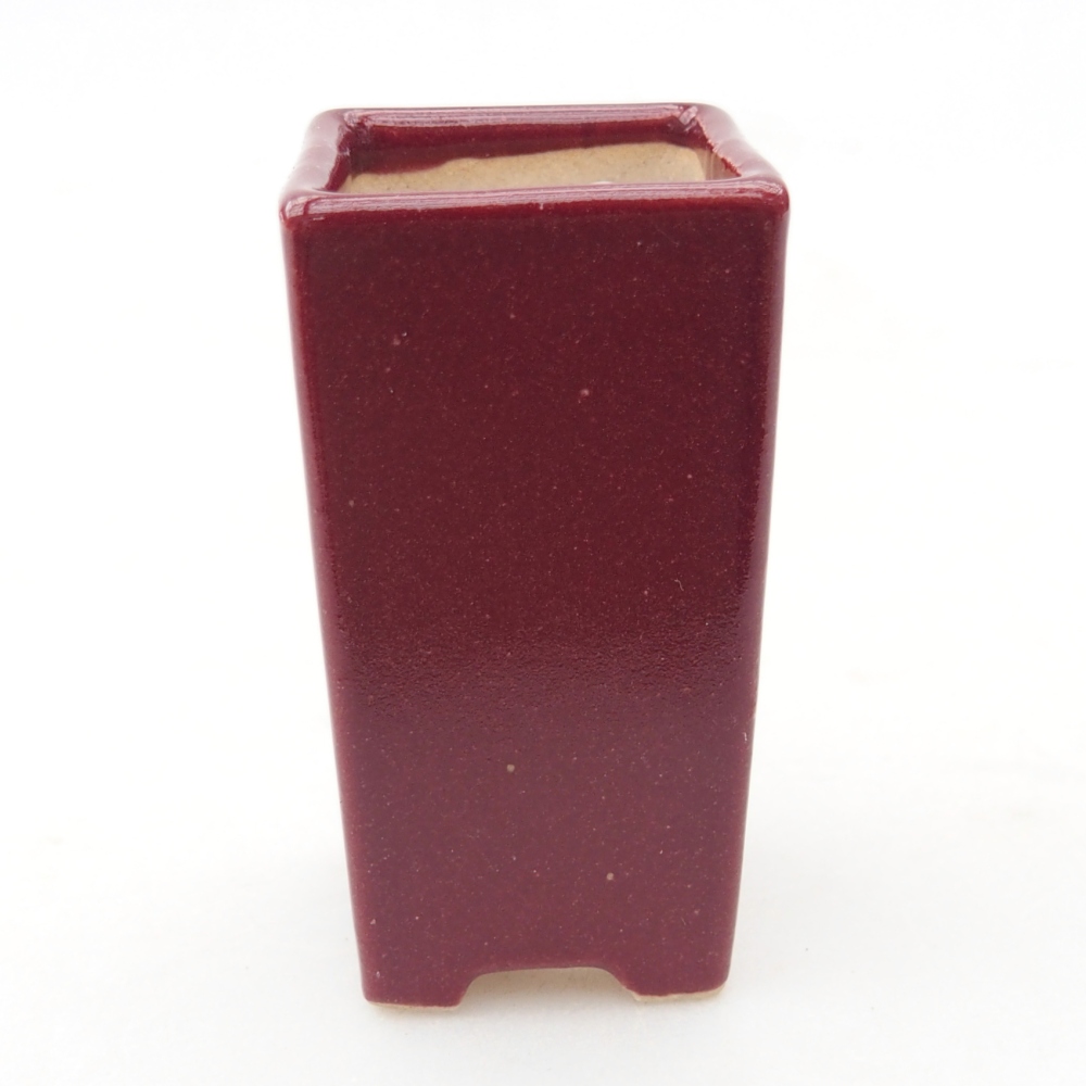 Mini bonsaischaal 3 x 3 x 5,5 cm, bordeauxrood