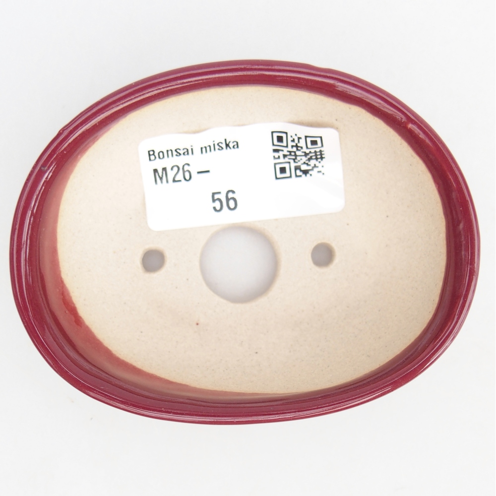 Mini bonsaischaal 8 x 6 x 2,5 cm, bordeauxrood