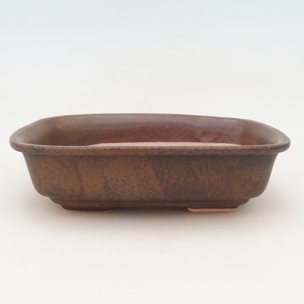 Bonsaischaal + schotel H02 - bruin
