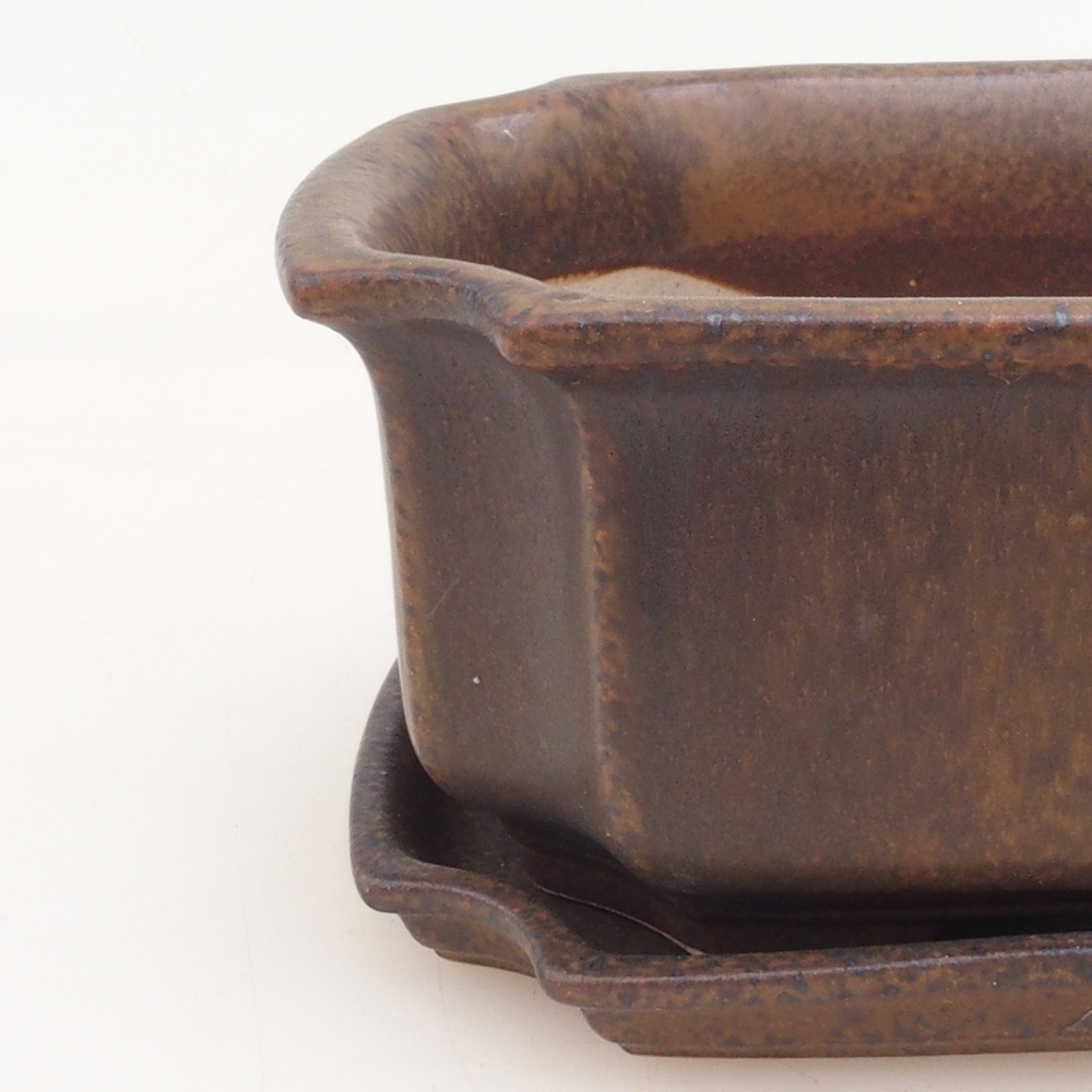 Bonsaischaal + schotel H01 - bruin