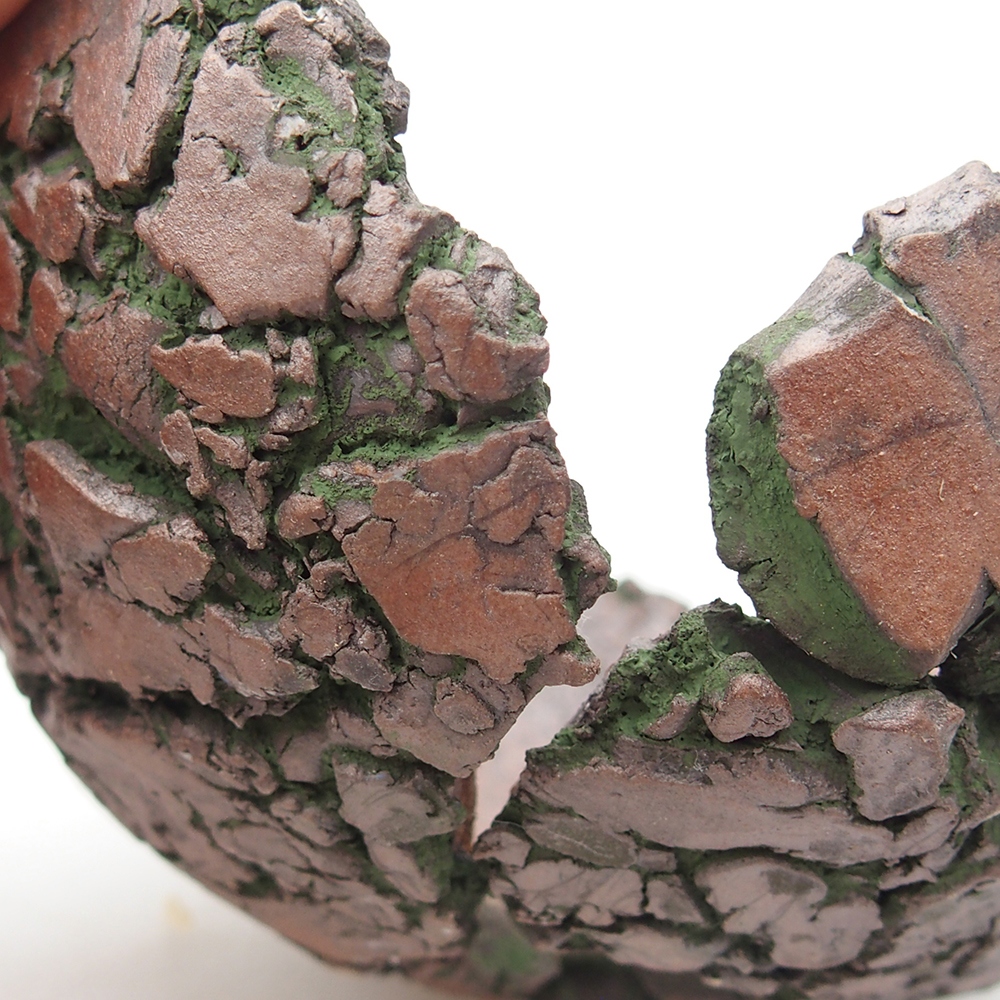 Keramisch Schelp 9 x 9,5 x 5,5 cm , kleur groen