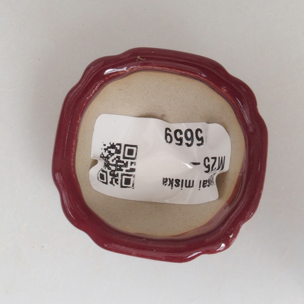 Mini bonsaischaal 4,5 x 4,5 x 2,5 cm, bordeauxrood