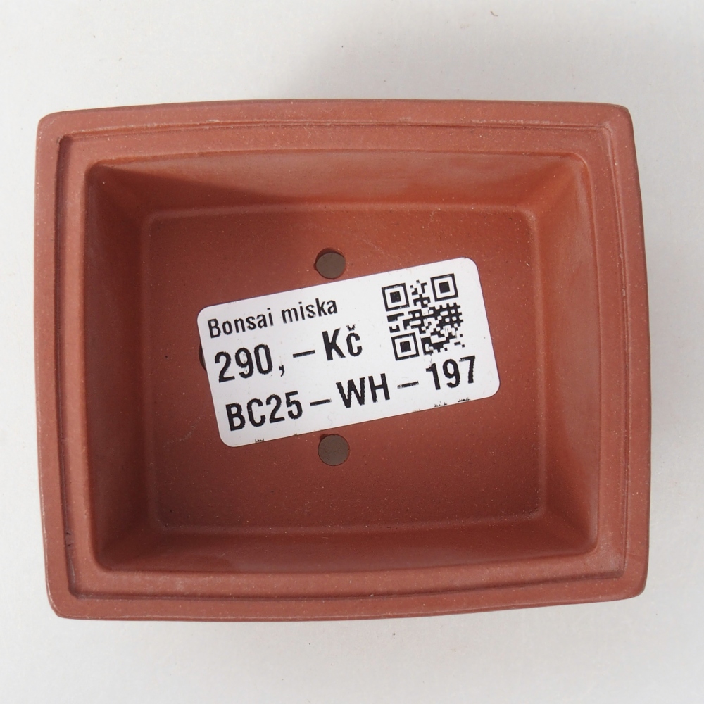 Mini bonsaischaal 7,5 x 6,5 x 3 cm, baksteenkleur