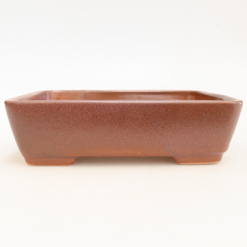Keramische bonsaipot 18 x 13 x 5 cm, kleur bordeauxrood