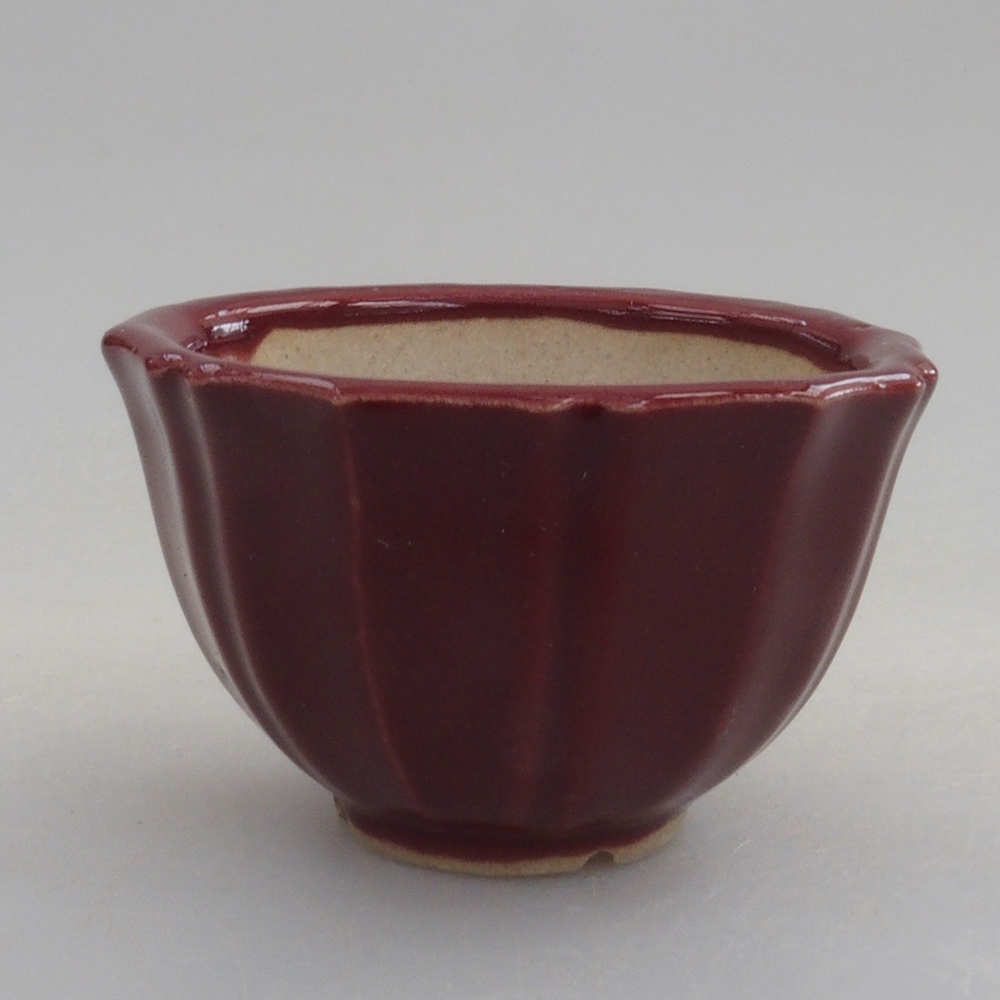 Mini bonsaischaal 5 x 5 x 3 cm, bordeauxrood