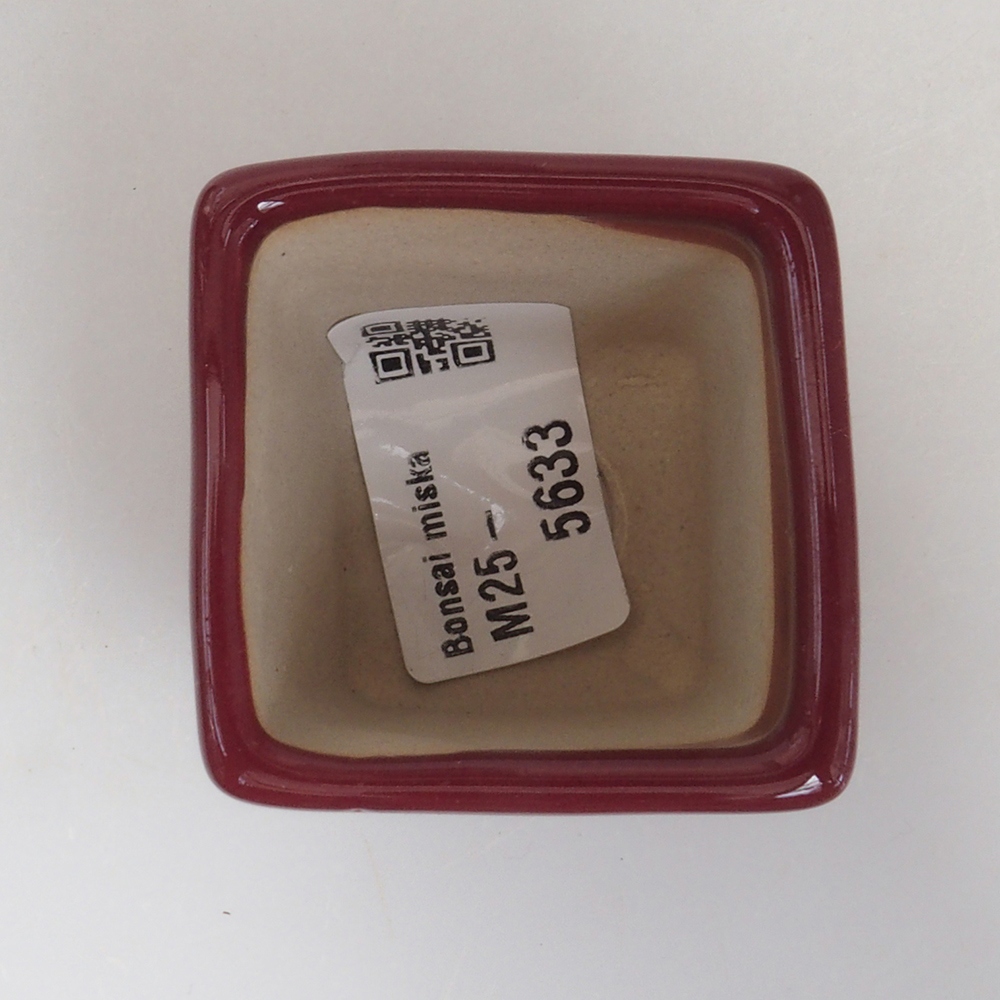 Mini bonsaischaal 4,5 x 4,5 x 4,5 cm, bordeauxrood
