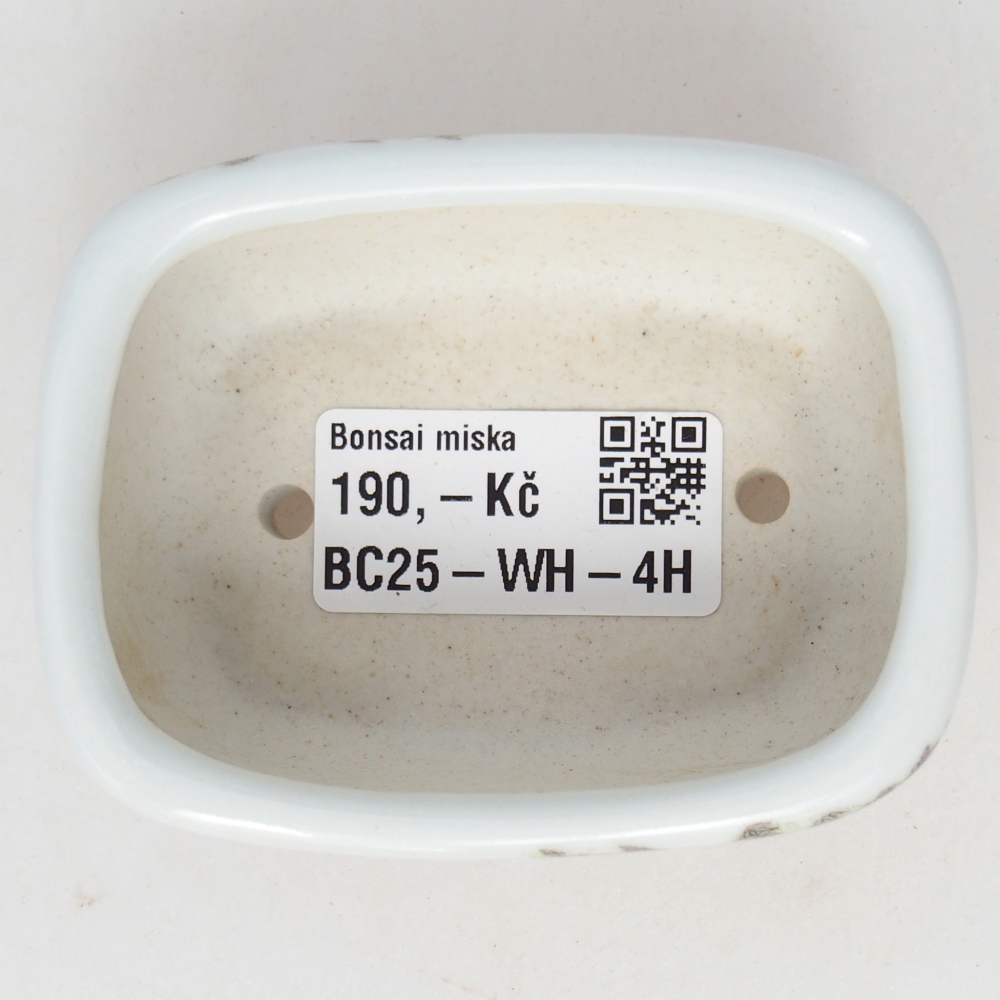 Mini bonsaischaal 8 x 6 x 3 cm, wit