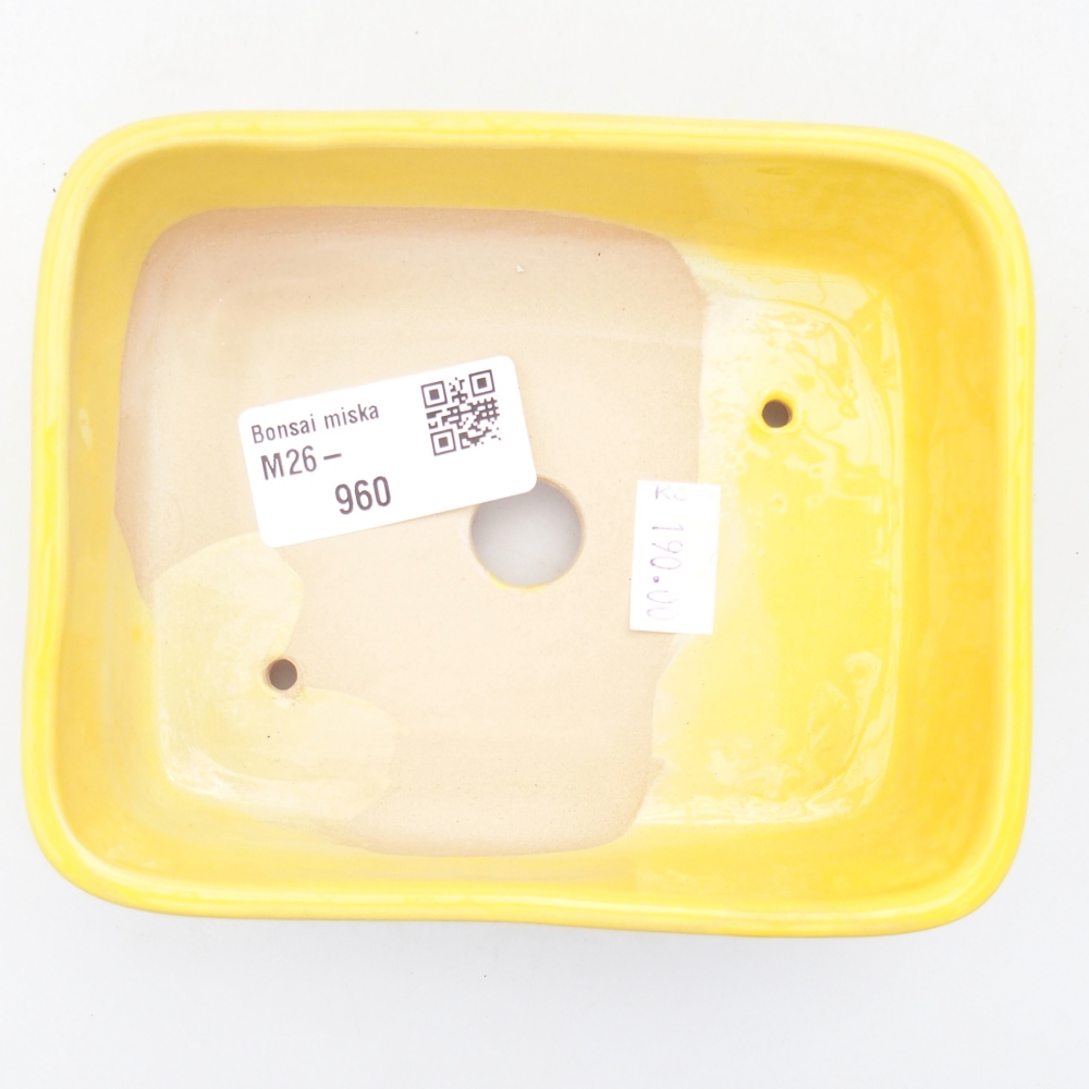 Bonsaischaal van keramiek 12,5 x 9 x 3,5 cm, geel