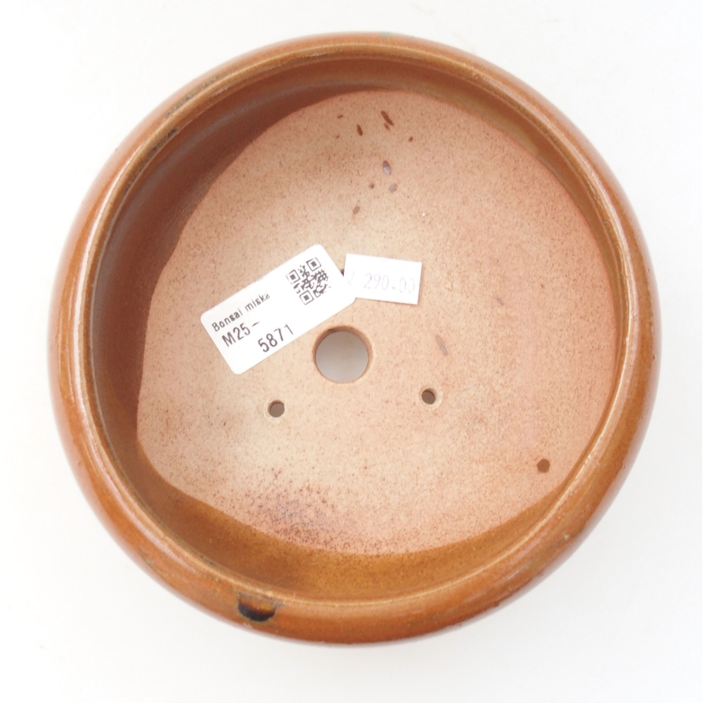 Bonsaischaal van keramiek 22 x 17 x 5 cm, groen