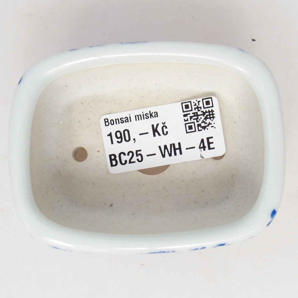 Mini bonsaischaal 8 x 6 x 3 cm, wit