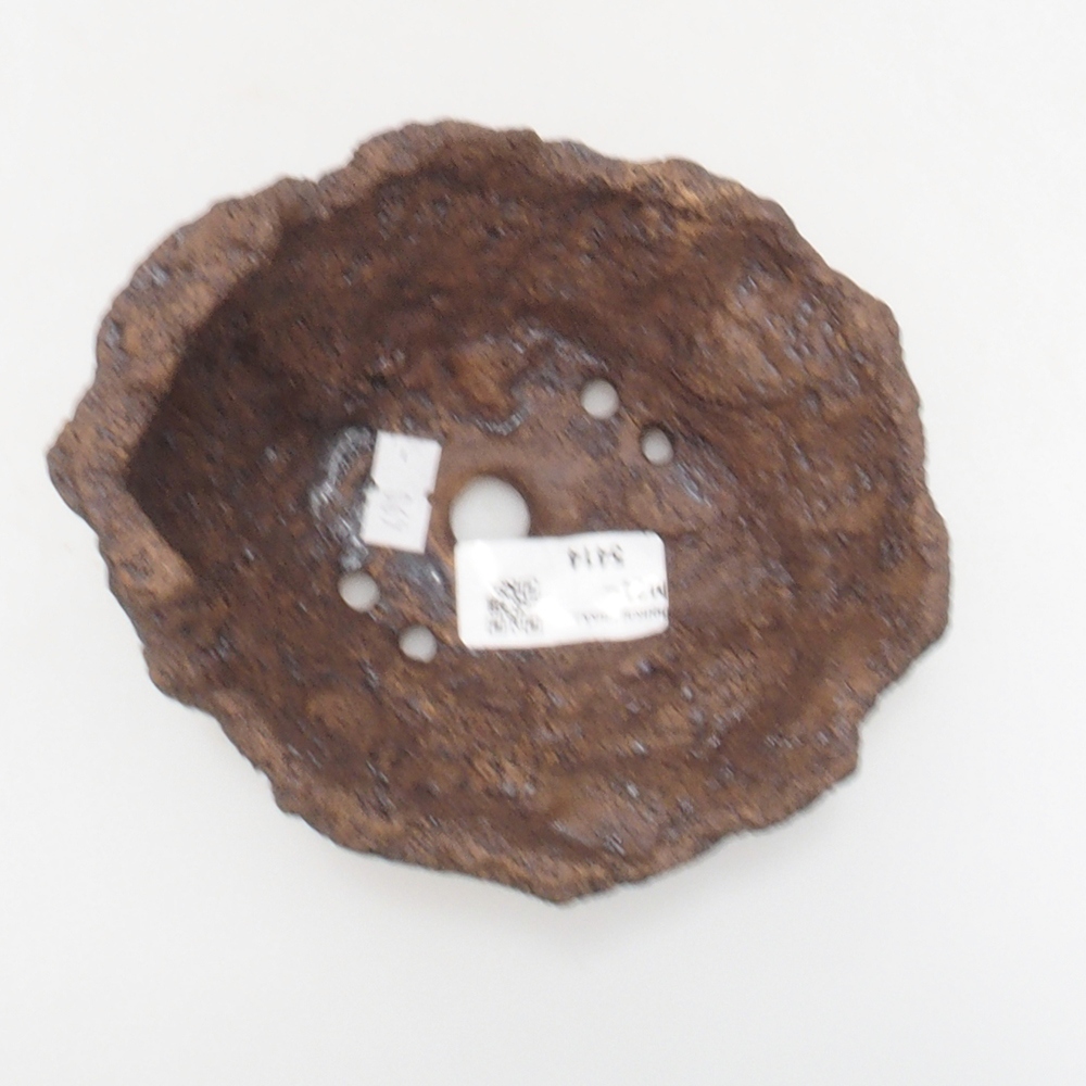 Keramisch Schelp 13 x 11 x 12 cm , kleur bruin