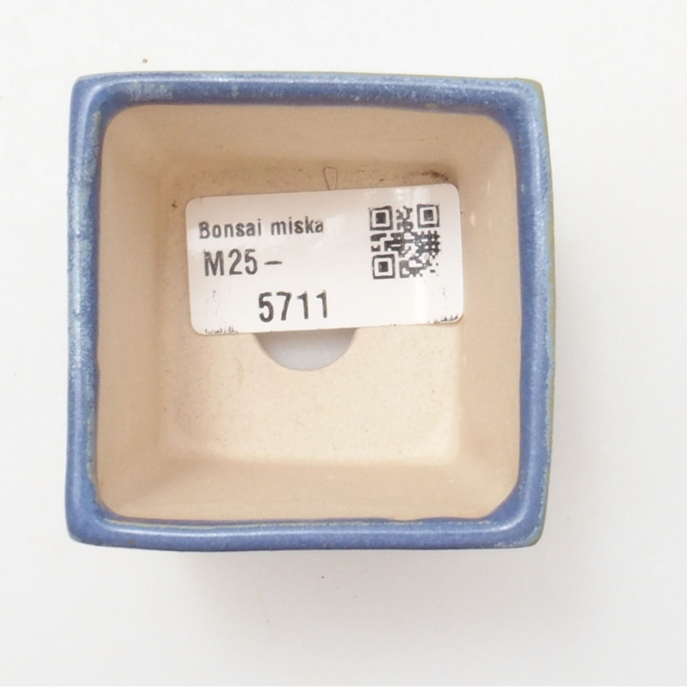 Mini bonsaischaal 5,5 x 5,5 x 6,5 cm, kleur blauw