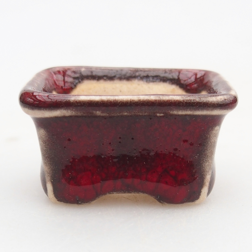 Mini bonsaischaal 3 x 2,5 x 2 cm, kleur rood