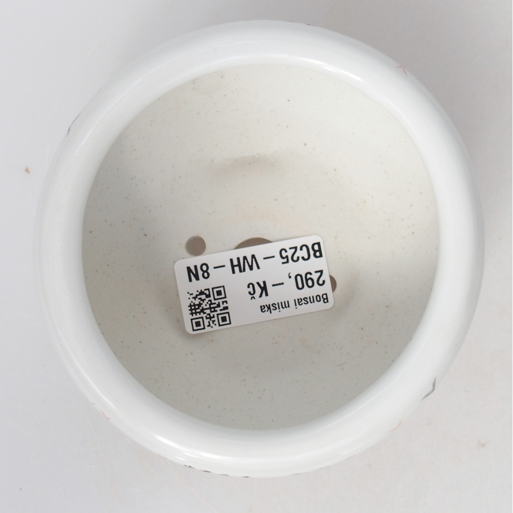 Bonsaischaal van keramiek 10 x 10 x 5 cm, kleur wit