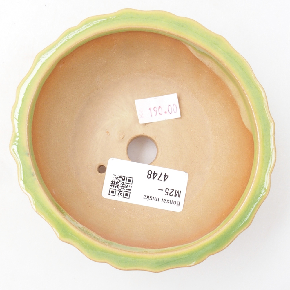 Bonsaischaal van keramiek 11 x 11 x 5 cm, groen