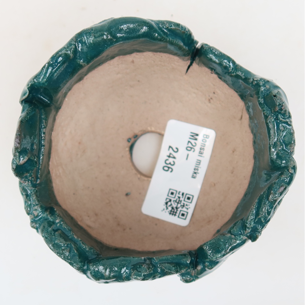 Keramisch Schelp 9 x 8,5 x 6 cm , kleur groen