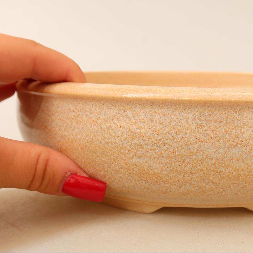 Keramische bonsaipot 22,5 x 22,5 x 6,5 cm, kleur beige