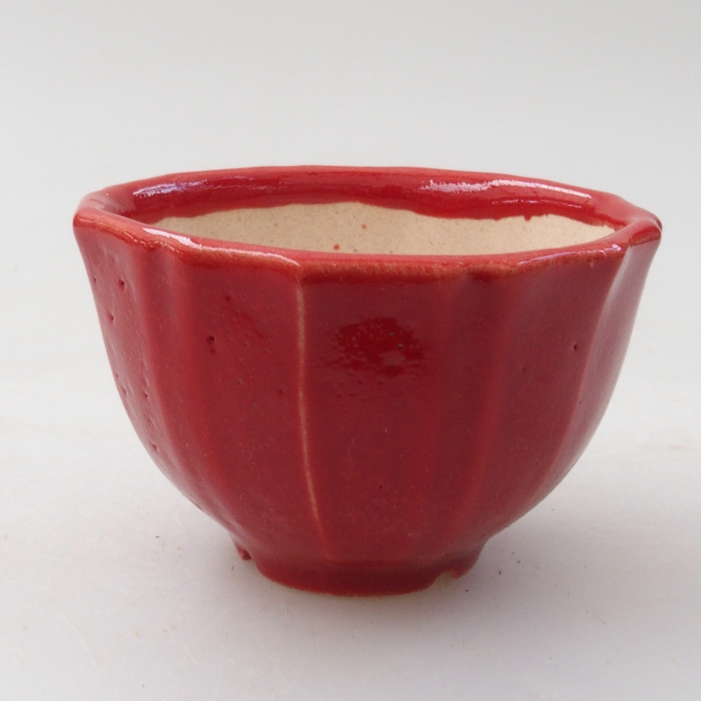 Mini bonsaischaal 5 x 5 x 3 cm, kleur rood