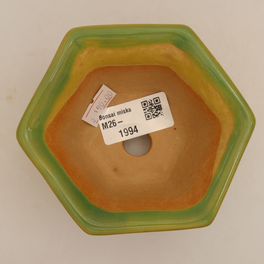 Keramische bonsaipot 10,5 x 9,5 x 5,5 cm, kleur groen
