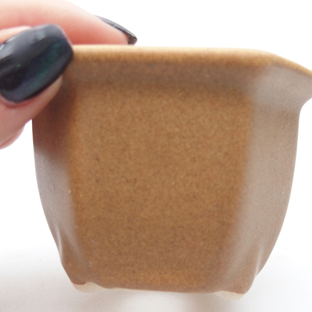 Mini bonsaischaal 7,5 x 6,5 x 5 cm, bruin
