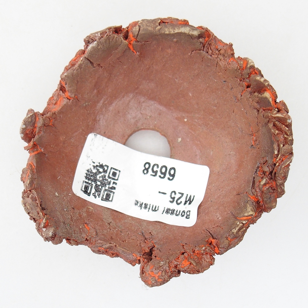 Schelp van keramiek 7 x 7 x 4 cm , kleur oranje